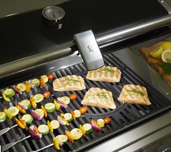 202048 weber grillicht 2.jpg